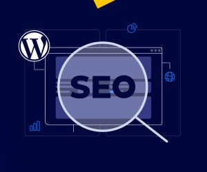 بهترین افزونه های سئو وردپرس